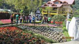 100學年度畢業校外教學活動