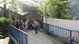 100學年度畢業校外教學活動