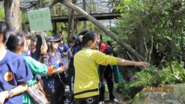 100學年度畢業校外教學活動