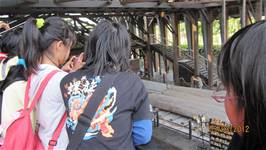 100學年度畢業校外教學活動