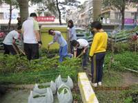 1010316小園丁實務工作-種香草了