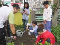 1010316小園丁實務工作-種香草了