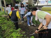 1010316小園丁實務工作-種香草了