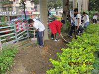 1010316小園丁實務工作-種香草了