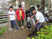 1010316小園丁實務工作-種香草了