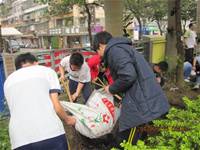 1010316小園丁實務工作-種香草了