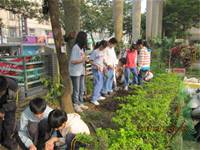 1010316小園丁實務工作-種香草了