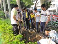 1010316小園丁實務工作-種香草了