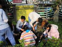 1010316小園丁實務工作-種香草了