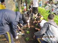 1010316小園丁實務工作-種香草了