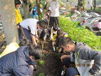 1010316小園丁實務工作-種香草了