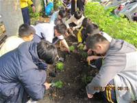 1010316小園丁實務工作-種香草了