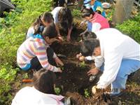 1010316小園丁實務工作-種香草了