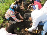 1010316小園丁實務工作-種香草了