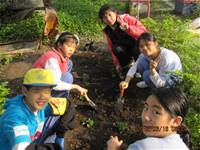 1010316小園丁實務工作-種香草了