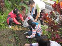 1010316小園丁實務工作-種香草了