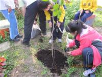 1010316小園丁實務工作-種香草了