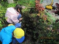 1010316小園丁實務工作-種香草了