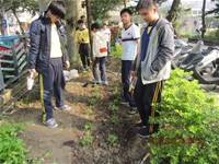 1010316小園丁實務工作-種香草了