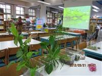 1010321第三群組研習-都會型學校生態池之教學運用