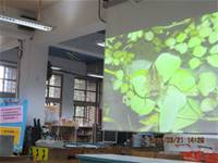 1010321第三群組研習-都會型學校生態池之教學運用