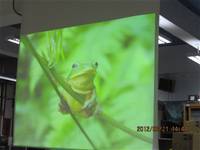 1010321第三群組研習-都會型學校生態池之教學運用