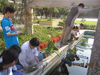 1010323小園丁實務工作-生態池種植物囉