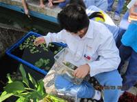 1010323小園丁實務工作-生態池種植物囉