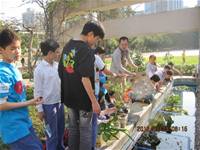 1010323小園丁實務工作-生態池種植物囉