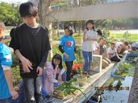 1010323小園丁實務工作-生態池種植物囉