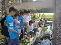 1010323小園丁實務工作-生態池種植物囉