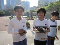 1010323小園丁實務工作-生態池種植物囉