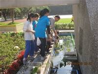 1010323小園丁實務工作-生態池種植物囉