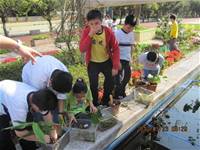 1010323小園丁實務工作-生態池種植物囉