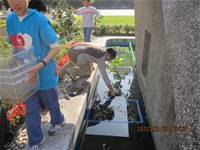 1010323小園丁實務工作-生態池種植物囉