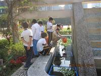 1010323小園丁實務工作-生態池種植物囉