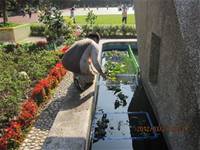 1010323小園丁實務工作-生態池種植物囉