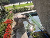 1010323小園丁實務工作-生態池種植物囉