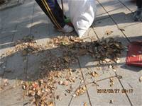 1010327花草園小園丁實務工作