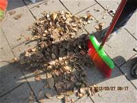 1010327花草園小園丁實務工作