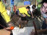 1010327花草園小園丁實務工作