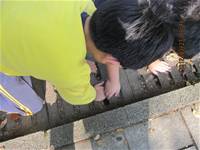 1010327花草園小園丁實務工作