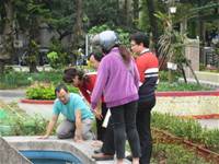 1010402生態池蟾蜍交配產卵