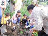 1010403小園丁實務工作-種植薄荷