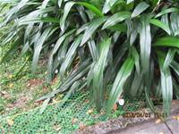 1010403英語主題教學-配合節慶復活節採蛋活動