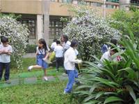 1010403英語主題教學-配合節慶復活節採蛋活動