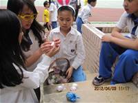 1010403英語主題教學-配合節慶復活節採蛋活動