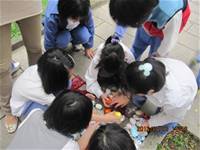 1010403英語主題教學-配合節慶復活節採蛋活動