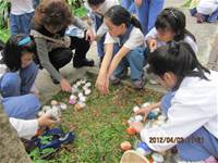 1010403英語主題教學-配合節慶復活節採蛋活動