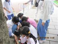 1010403英語主題教學-配合節慶復活節採蛋活動